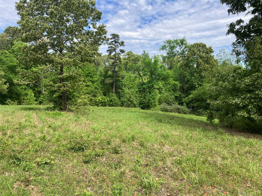 Tbd Ridgeline Loop Property Photo 6