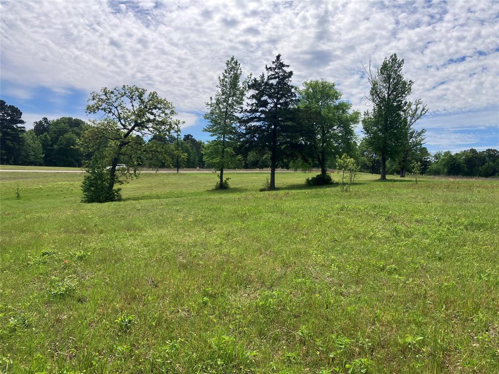 Tbd Ridgeline Loop Property Photo 9