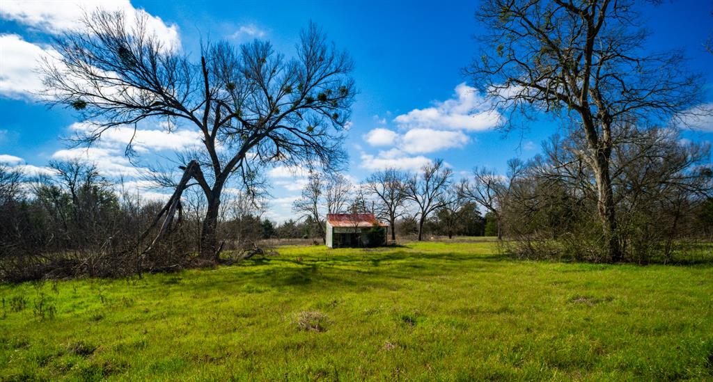 115 E Brazos Property Photo 39