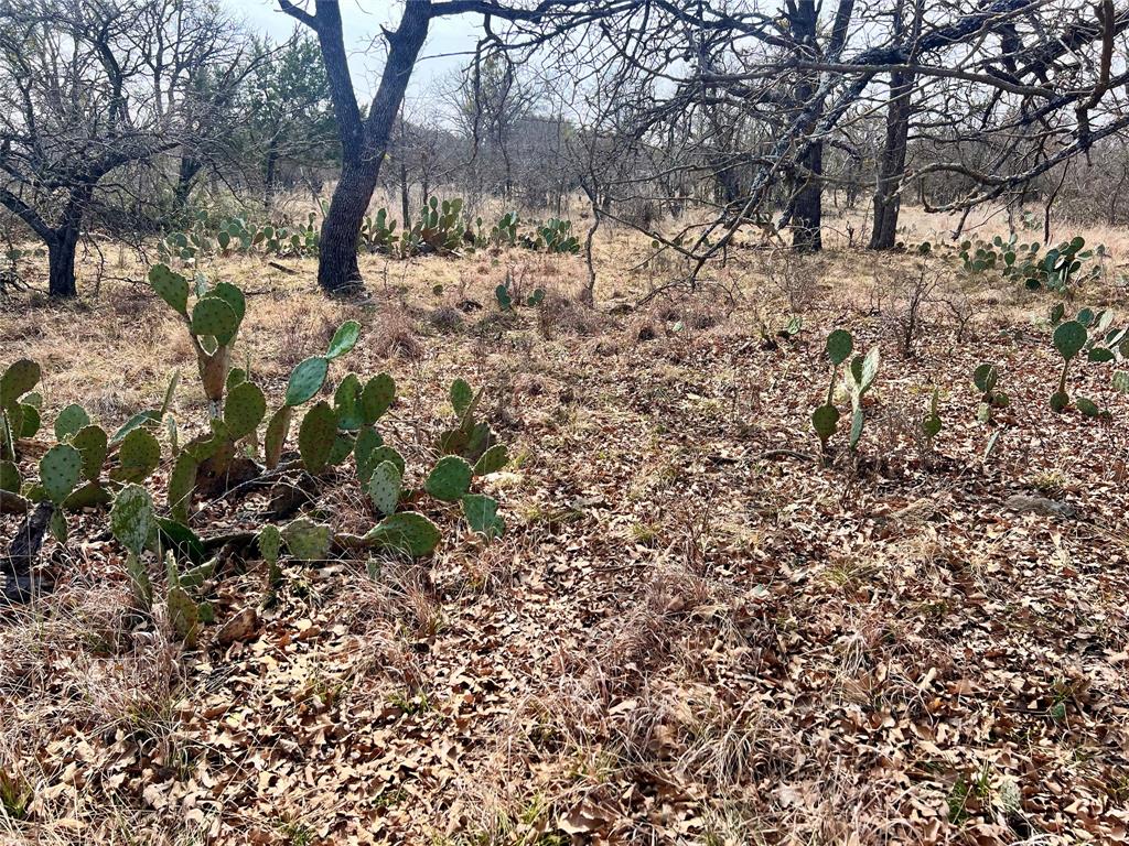 Lot 64 Janda Lane Property Photo 1