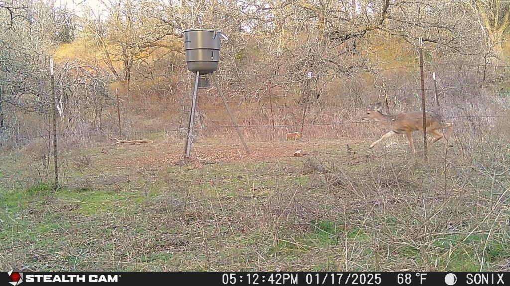 Not Addressed Yet Slusher Road Property Photo 17