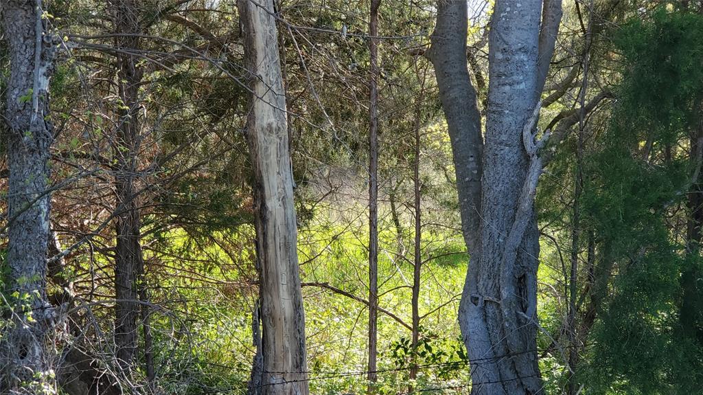 13700 Gholson Road Property Photo 3