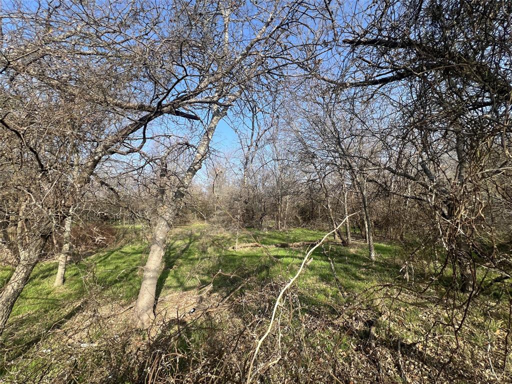 13700 Gholson Road Property Photo 4