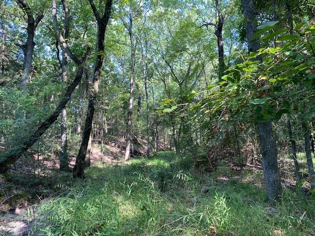 TR 4-A CR 41514 Property Photo 1