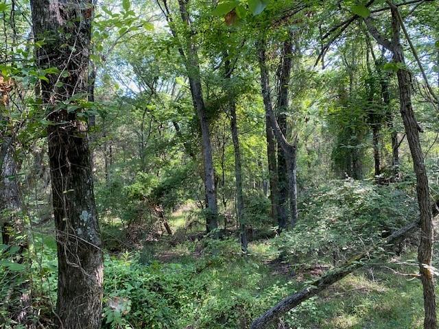 Tr 4-a Cr 41514 Property Photo 4