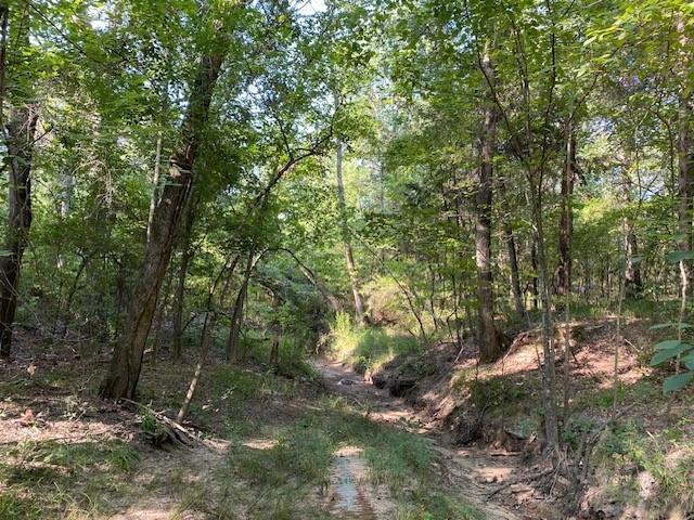 Tr 3-a Cr 41514 Property Photo 2