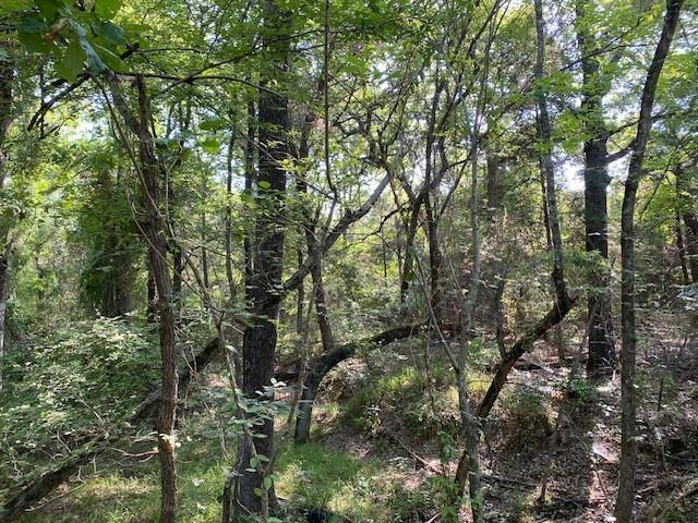 Tr 3-a Cr 41514 Property Photo 5