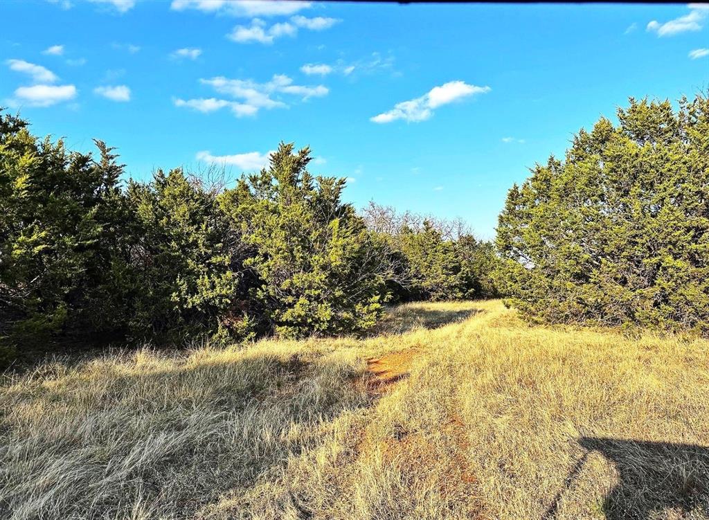 16061 County Road 107 Property Photo 4