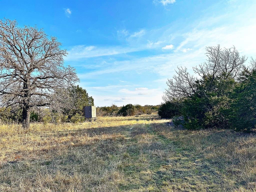 16061 County Road 107 Property Photo 8