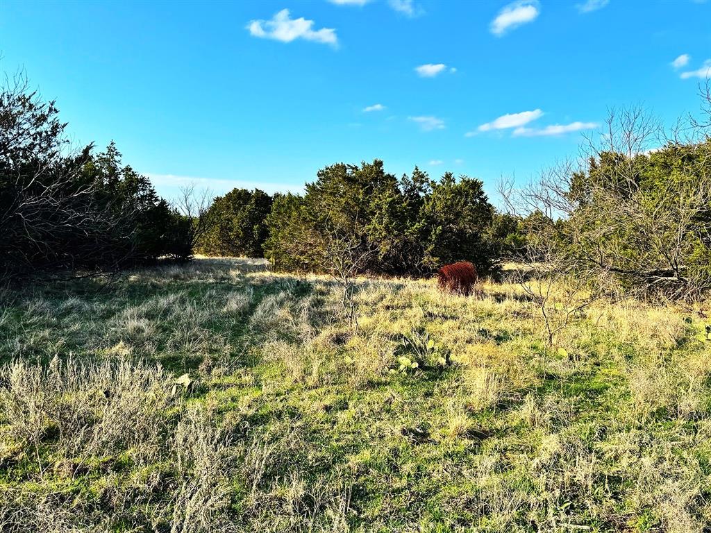 16061 County Road 107 Property Photo 10
