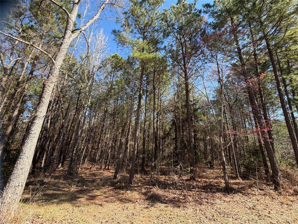 805 County Road 3210 Property Photo 11