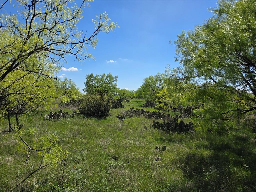 1709 County Road 330 Property Photo 4