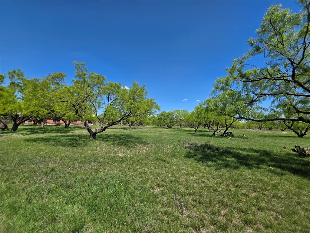 1709 County Road 330 Property Photo 20