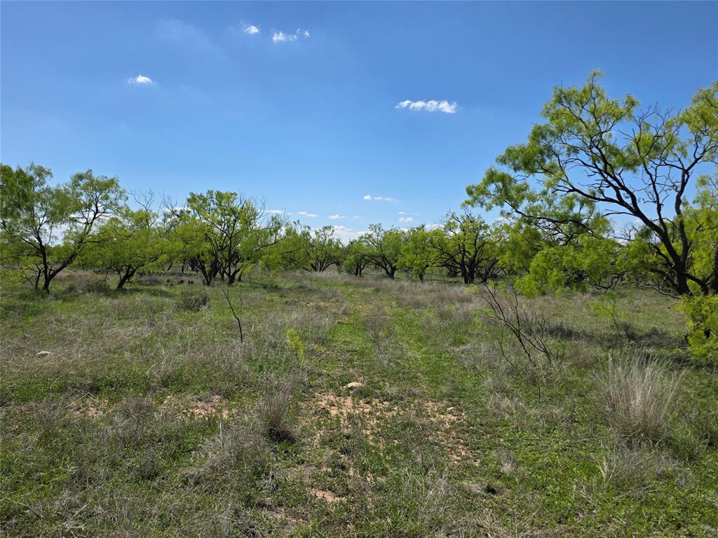1709 County Road 330 Property Photo 28