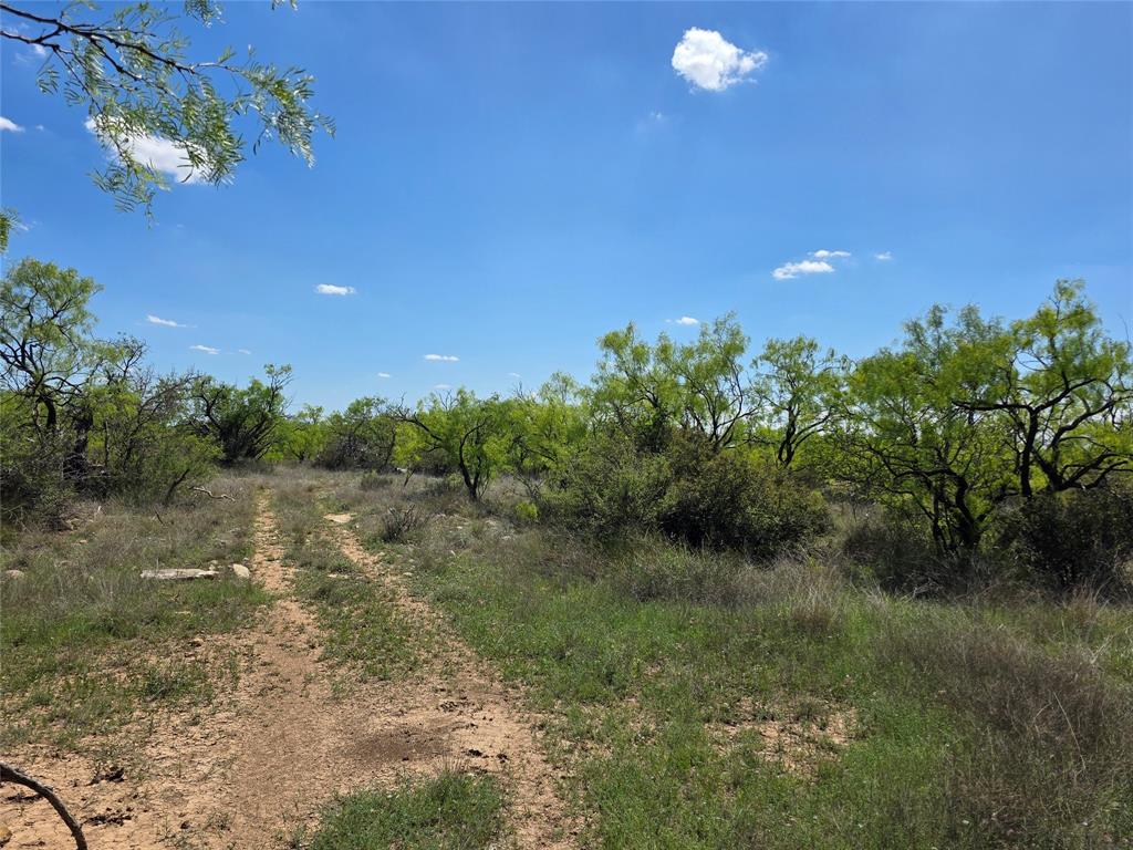 1709 County Road 330 Property Photo 34