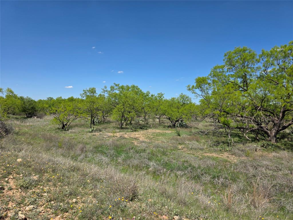 1709 County Road 330 Property Photo 35