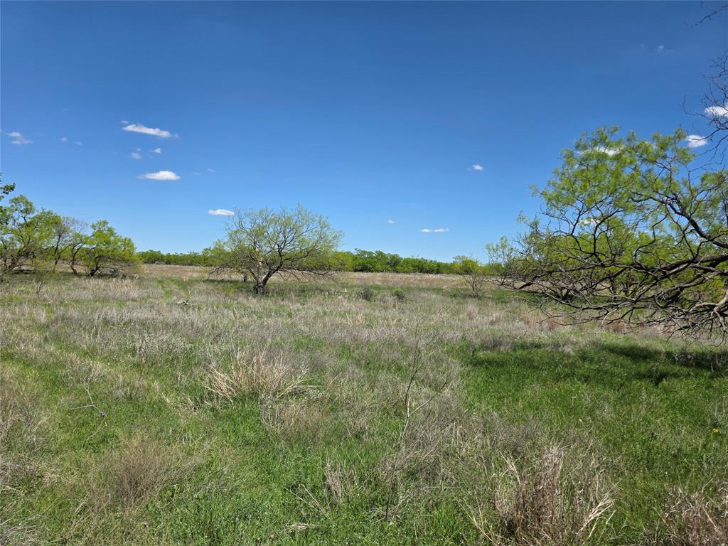 1709 County Road 330 Property Photo 37