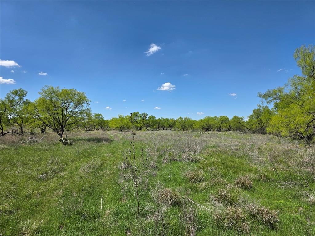 1709 County Road 330 Property Photo 39