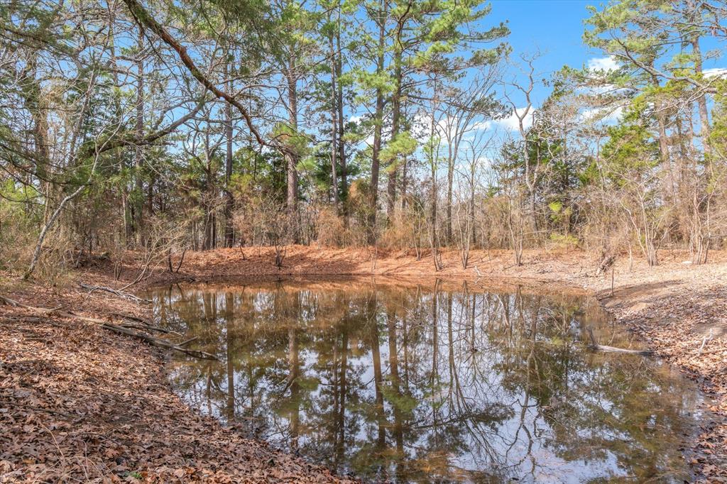 8844 State Highway 19 Property Photo 30