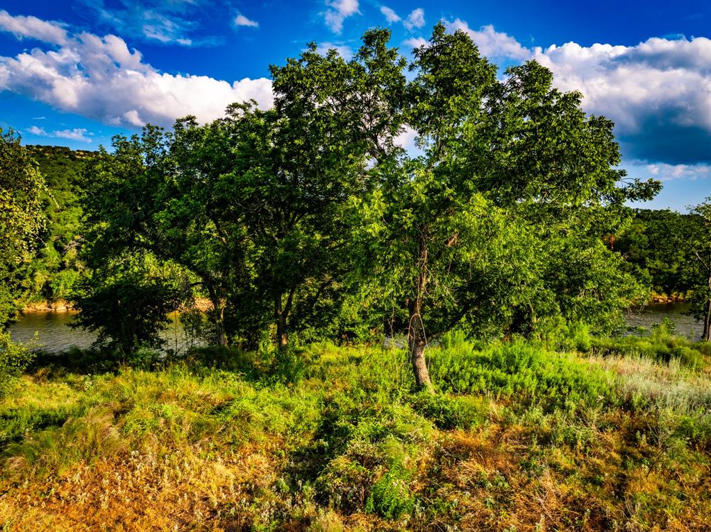 Tbd Fortune Bend Road Property Photo 9
