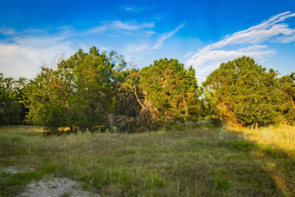Tbd Fortune Bend Road Property Photo 29