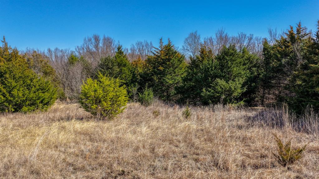 4109 Chisholm Trail Property Photo 9