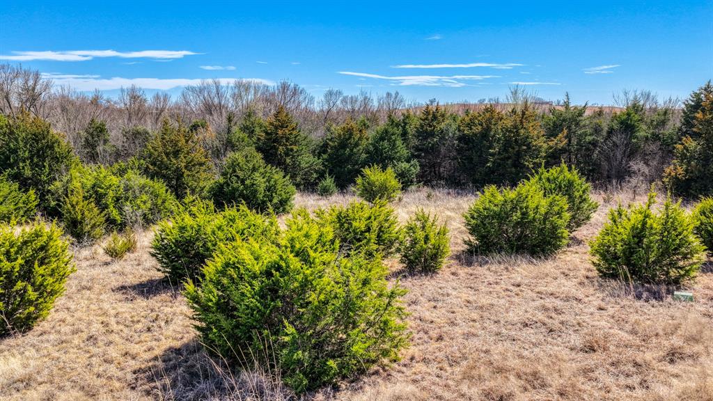 4109 Chisholm Trail Property Photo 19