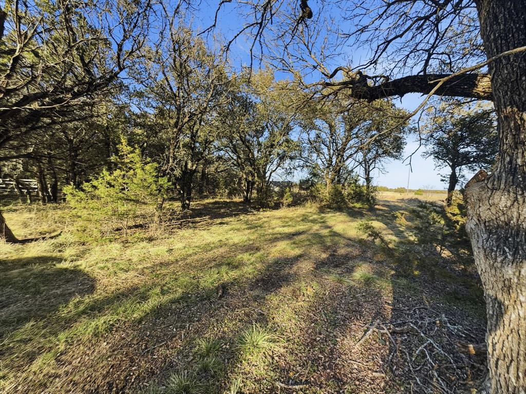 Tbd County Road 310 Property Photo 19