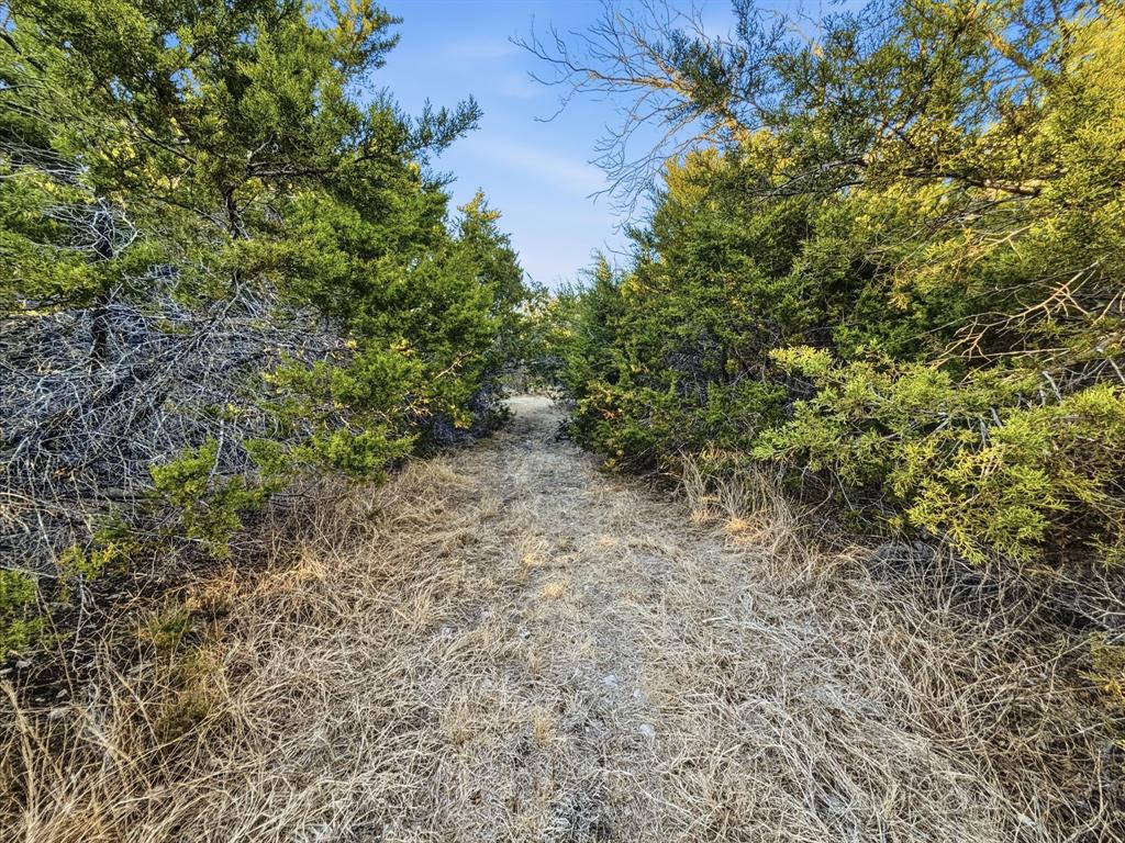 Tbd County Road 310 Property Photo 26