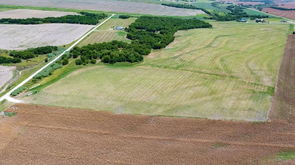 Tbd 2 Fm 2114 Road Property Photo 12
