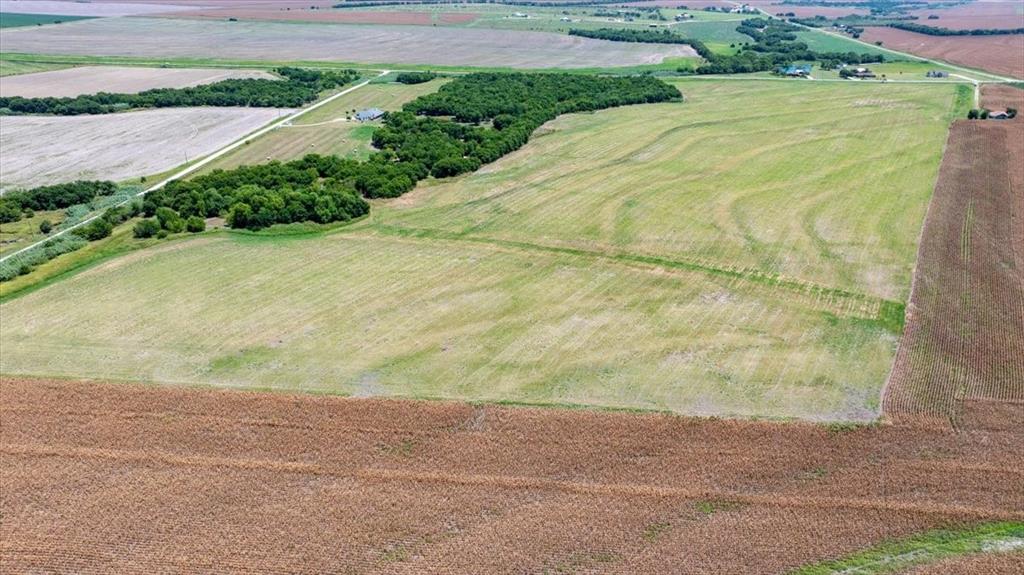 Tbd 2 Fm 2114 Road Property Photo 13
