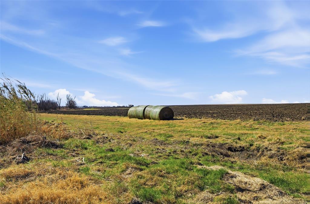 Tbd 2 Fm 2114 Road Property Photo 17