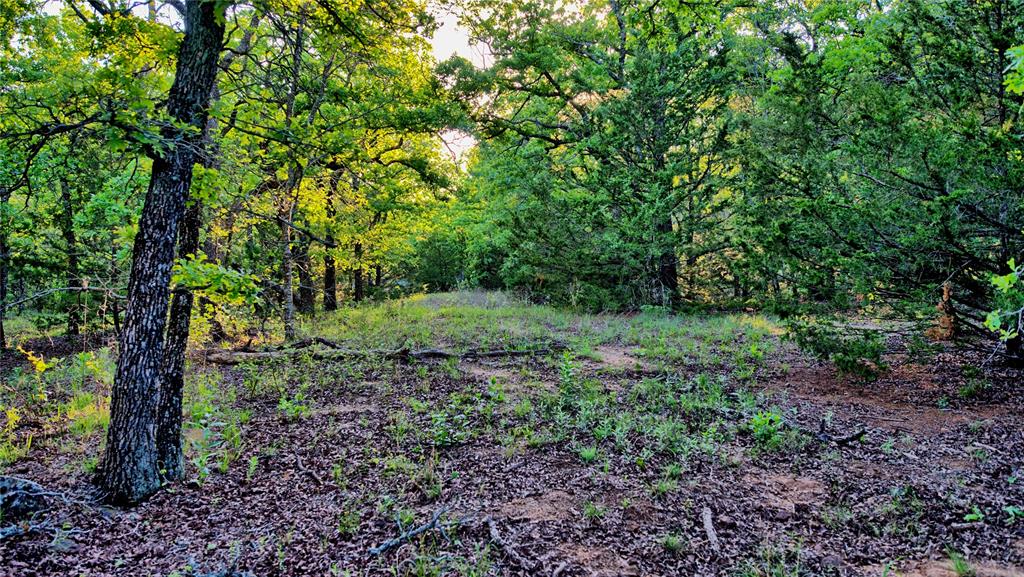 858 Ford Road Property Photo 25