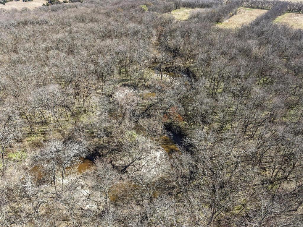 Tbd County Road 4702 Property Photo 10