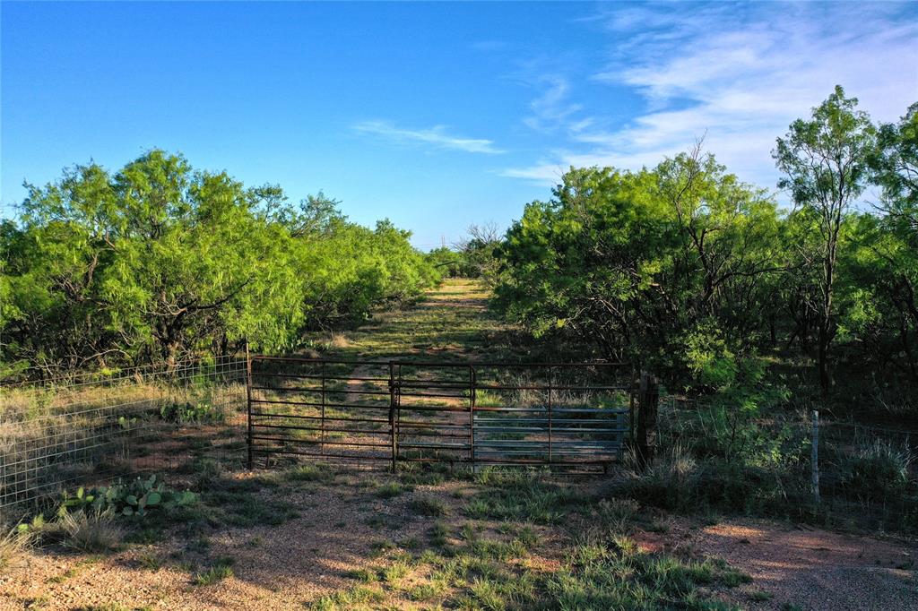 Tbd Kimbrough Road Property Photo 3