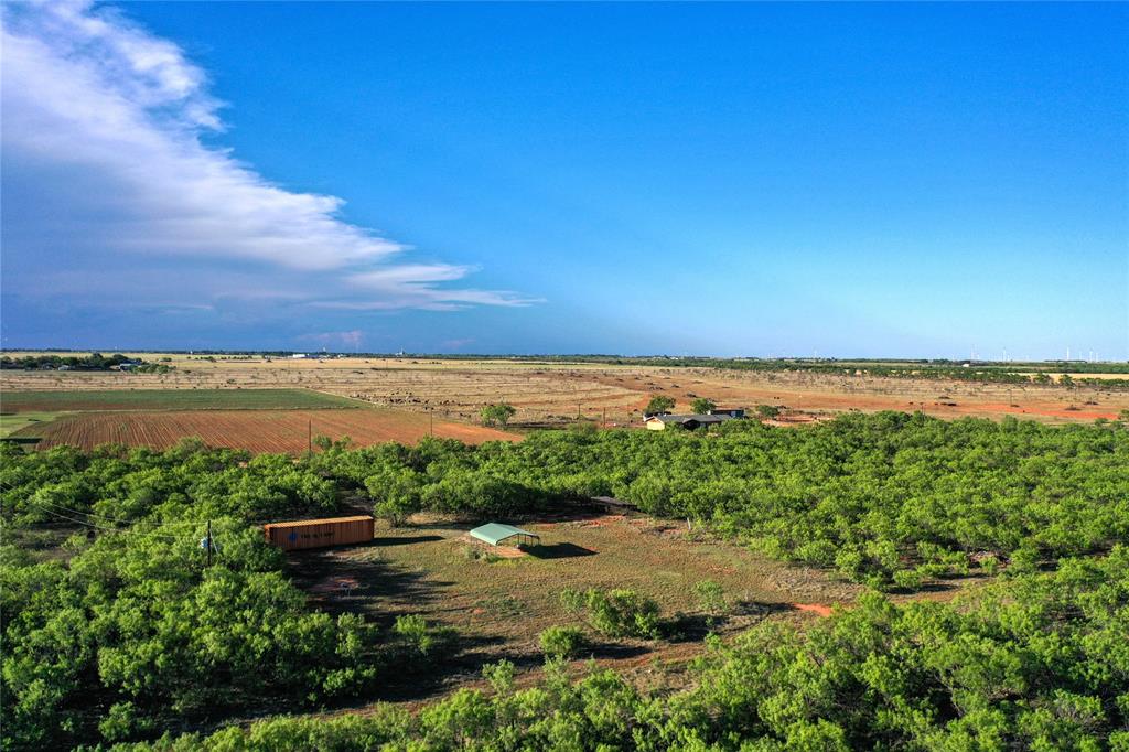 Tbd Kimbrough Road Property Photo 7