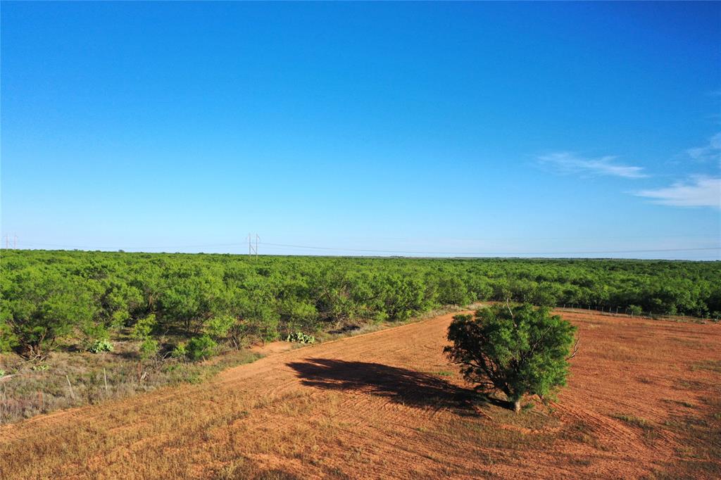 Tbd Kimbrough Road Property Photo 11
