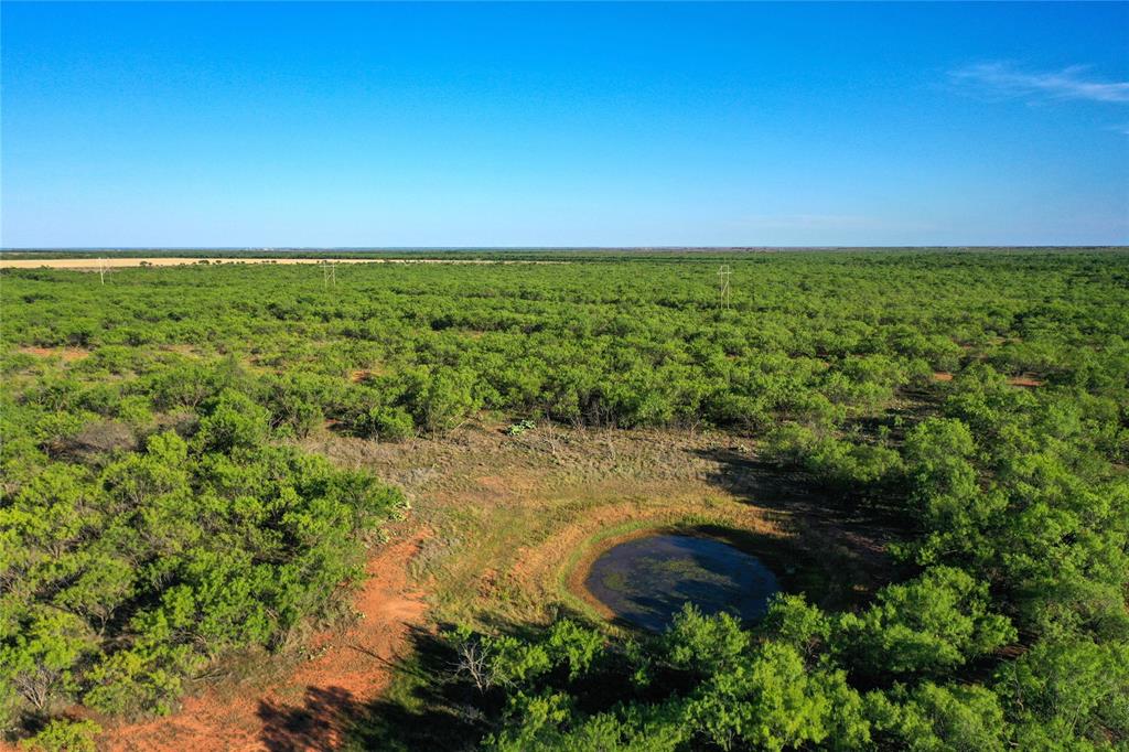 Tbd Kimbrough Road Property Photo 12