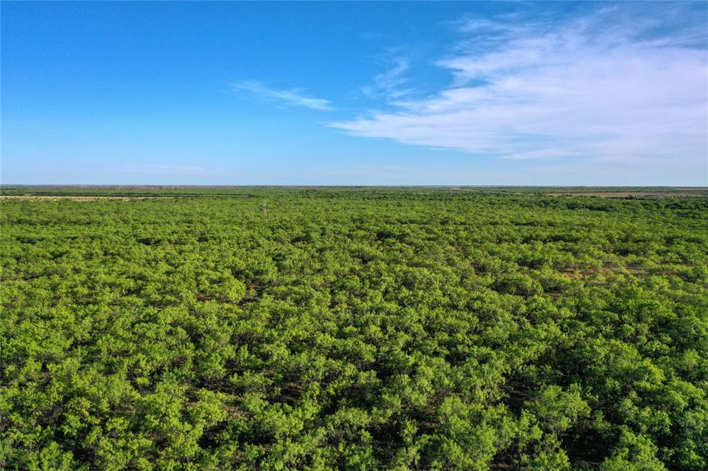 Tbd Kimbrough Road Property Photo 13