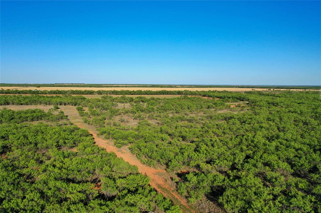 Tbd Kimbrough Road Property Photo 14