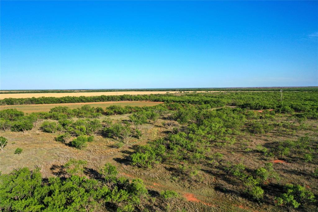 Tbd Kimbrough Road Property Photo 15