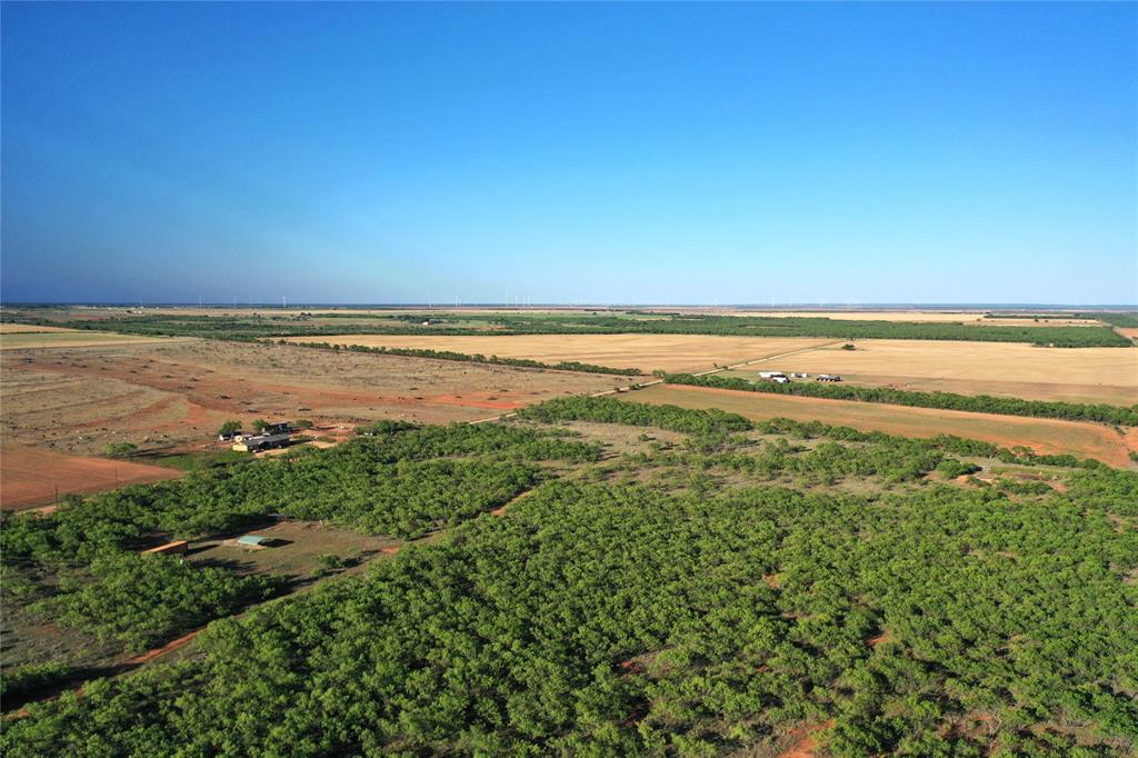 Tbd Kimbrough Road Property Photo 21
