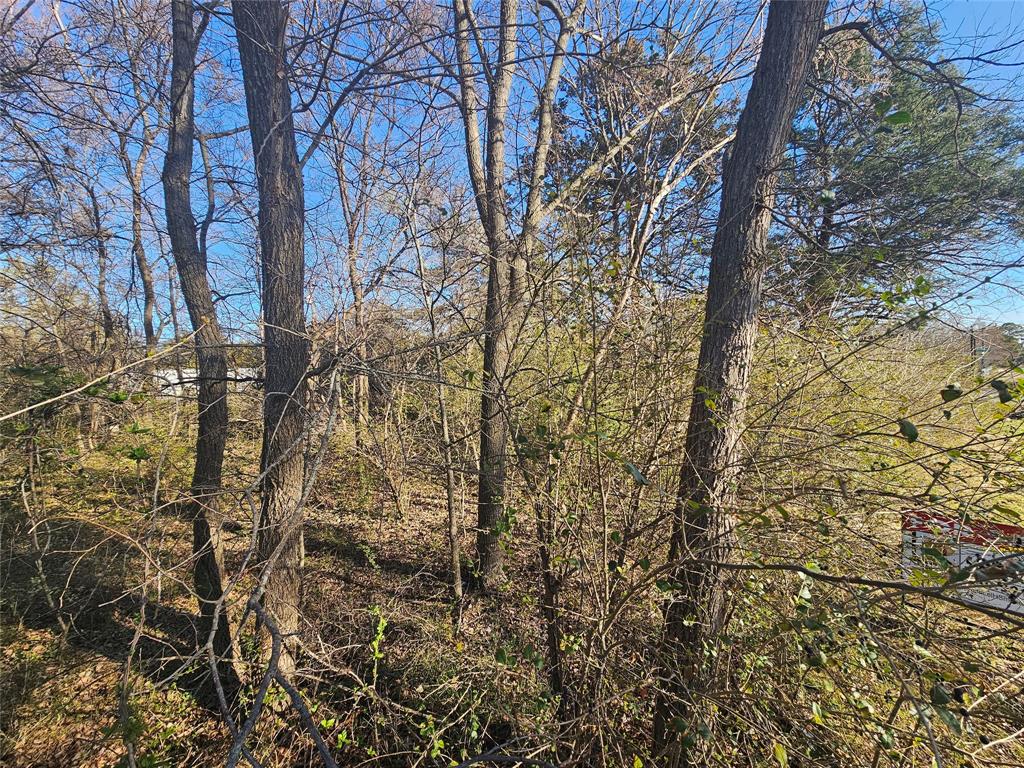 Lots 536 & 537 Choctaw Drive Property Photo 14