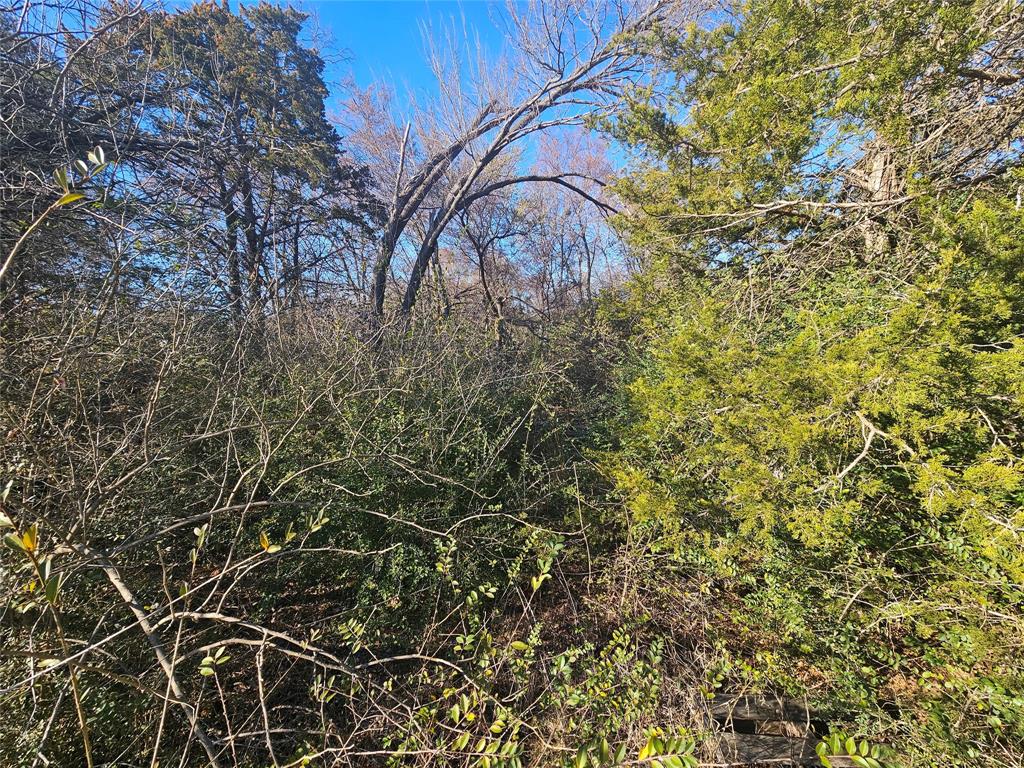 Lots 536 & 537 Choctaw Drive Property Photo 15