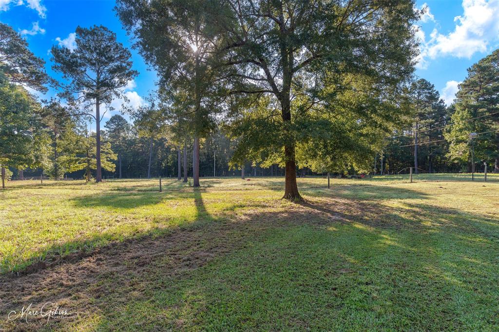 550 Linton Bellevue Road Property Photo 3