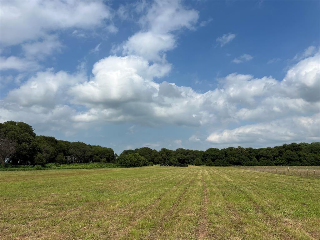 1757 County Road 252 Property Photo 5