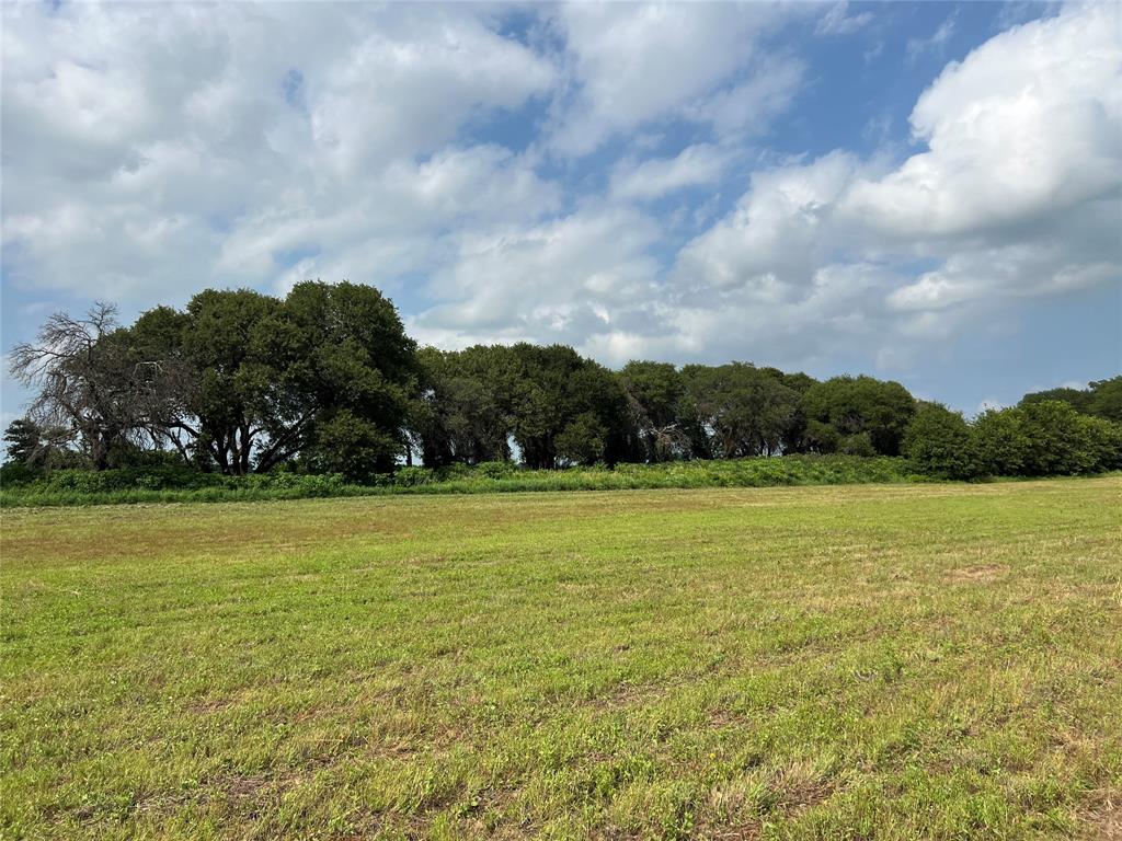 1757 County Road 252 Property Photo 6