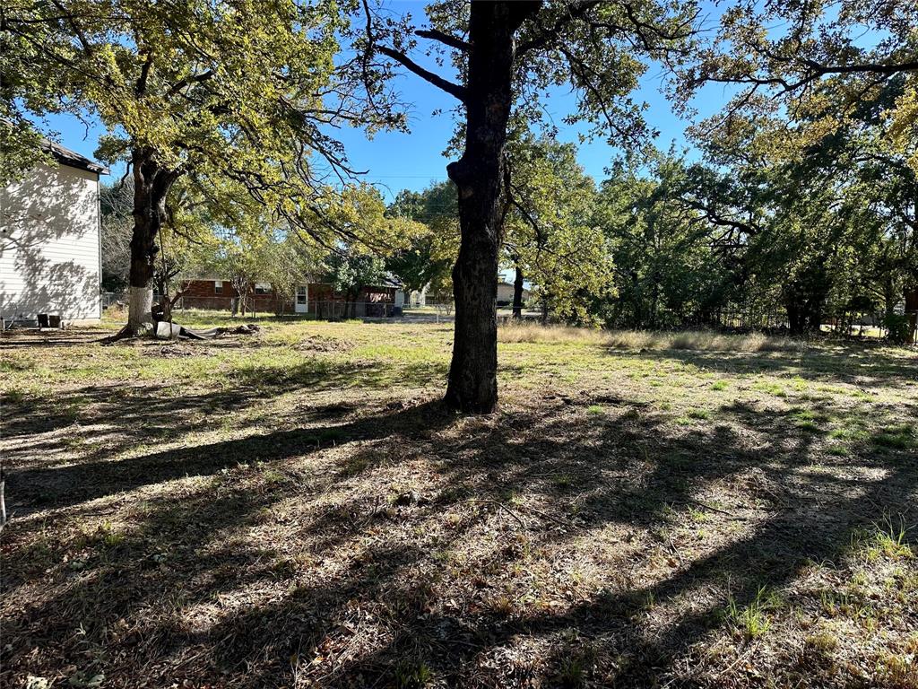 Tbd Bluebonnet Drive Property Photo 6