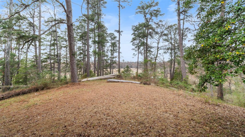 61 Kirby Trail Property Photo 27