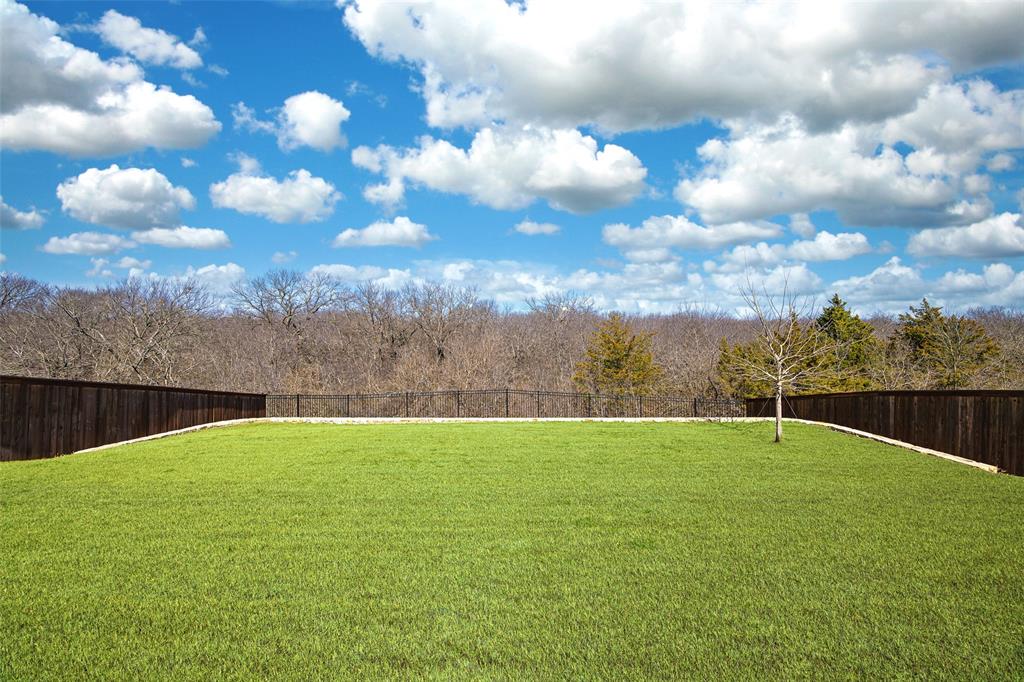 1411 Stellar Truth Way Property Photo 29